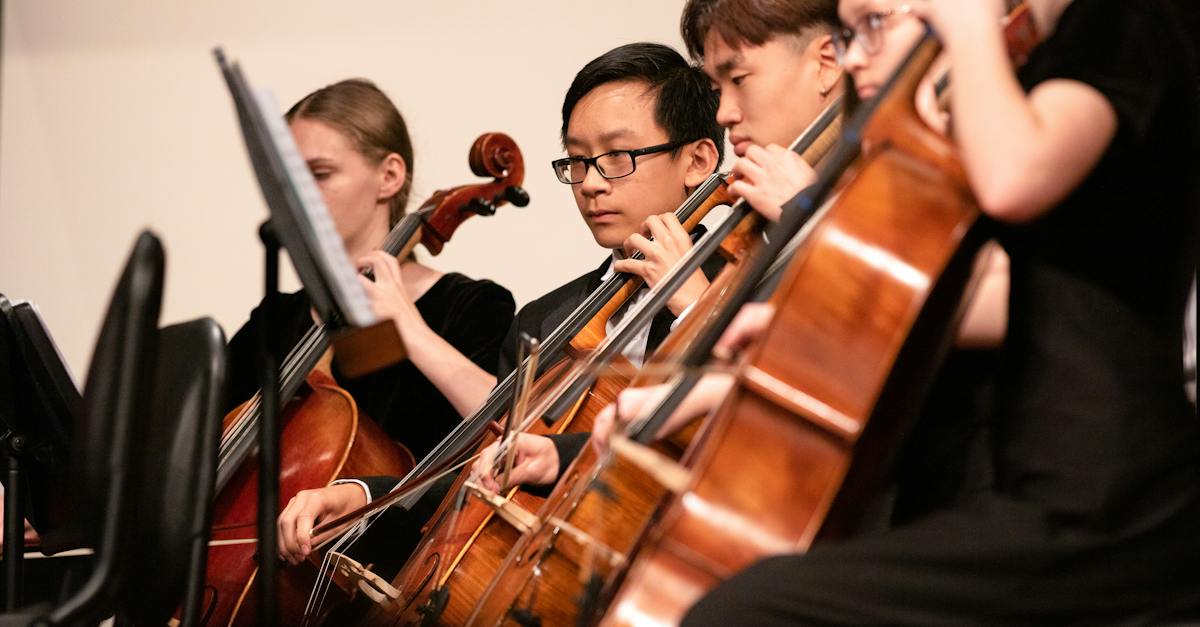 man-in-black-shirt-playing-violin-2337694