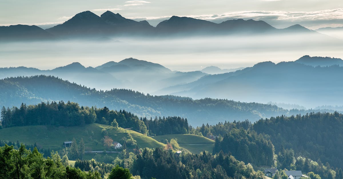 mountainous-valley-with-evergreen-forest-against-misty-sky-2593496